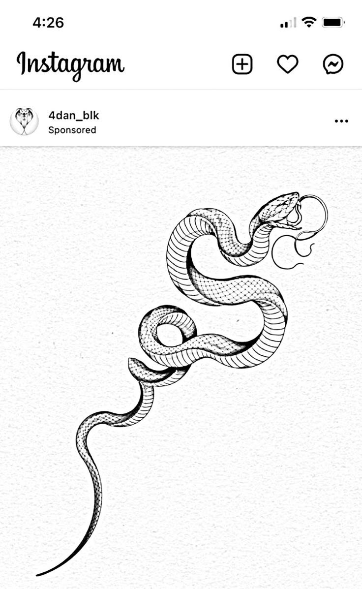 an instagram page with a drawing of a snake on it