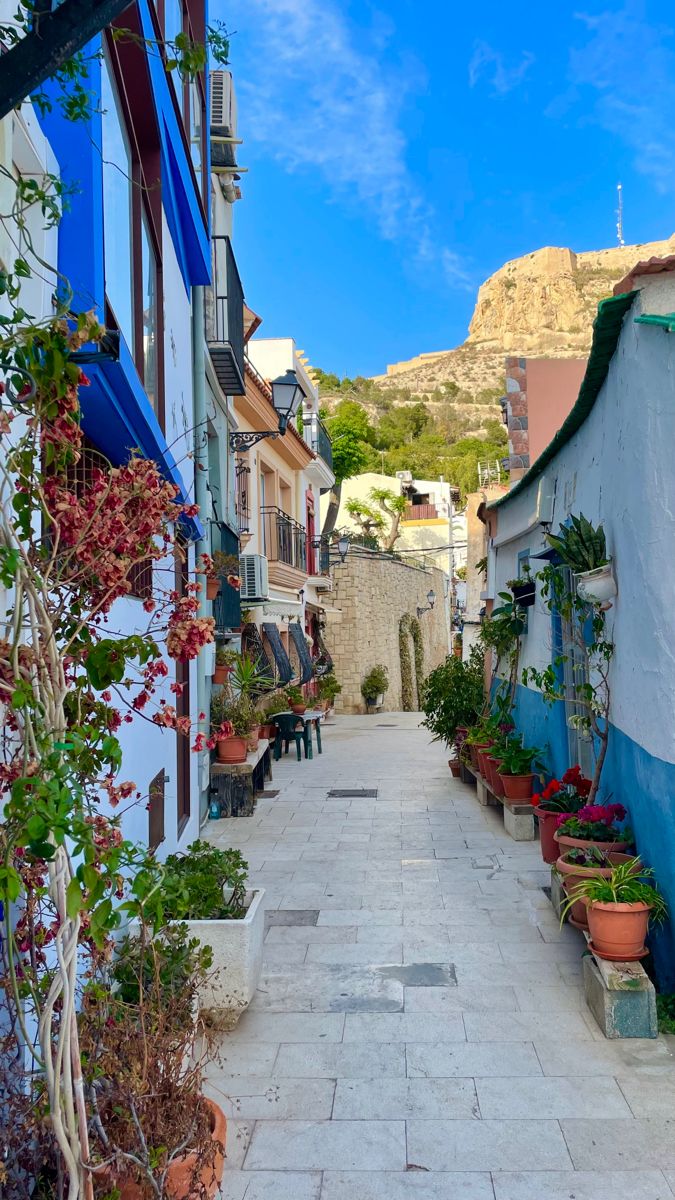 an alley way with potted plants on either side and mountains in the back ground