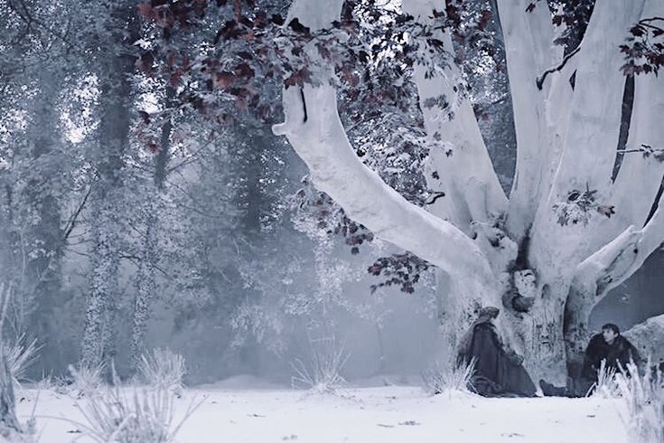 a person sitting under a large tree in the snow