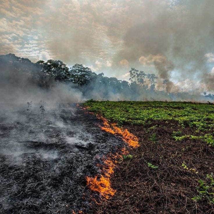 a fire is burning in the middle of a field