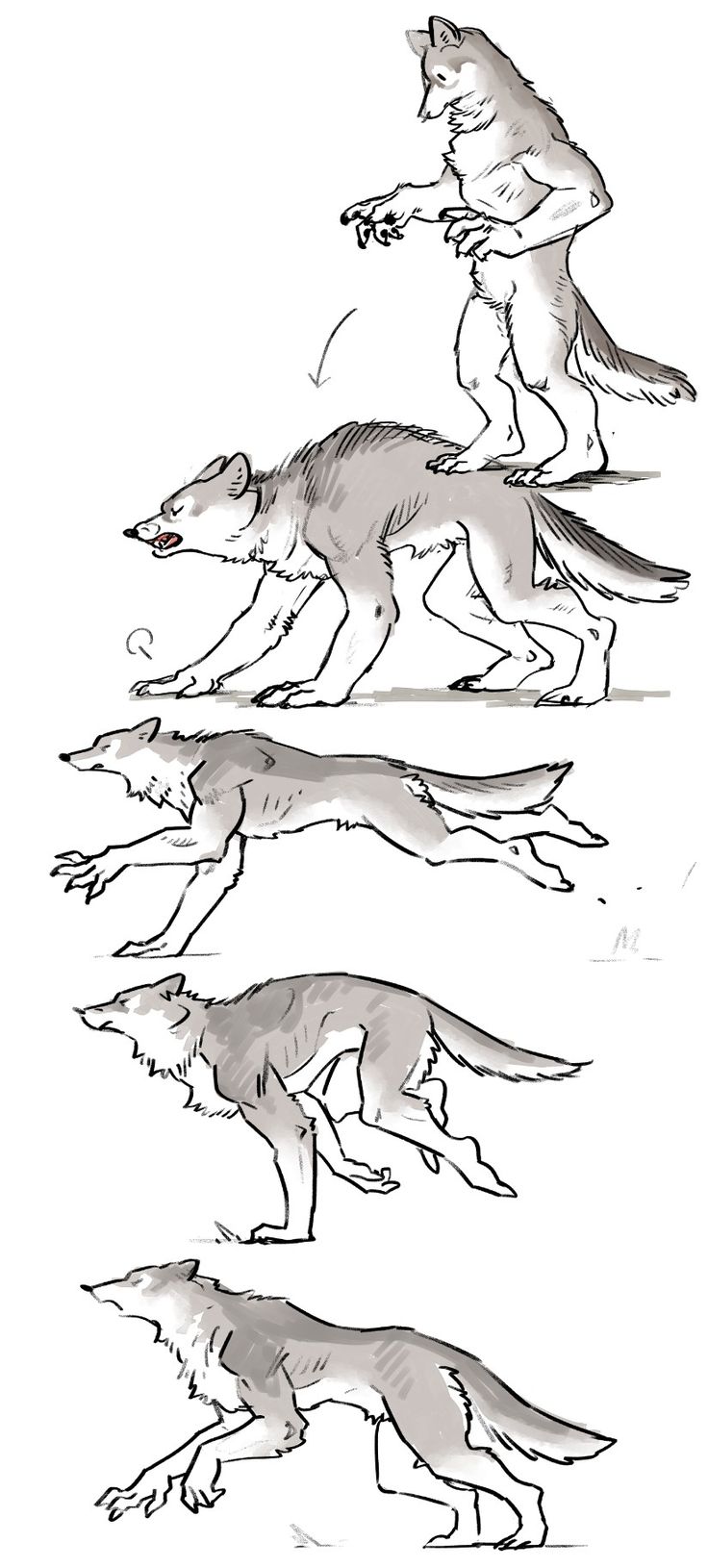 four wolfs are running in the same direction and one is jumping up to catch something