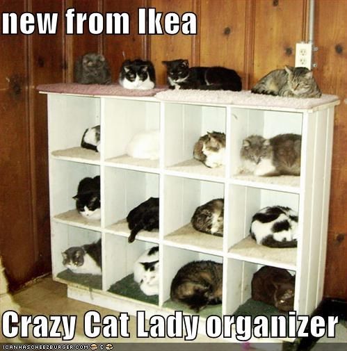 a bunch of cats sitting on top of a book shelf with caption that reads, new from ikea crazy cat lady organizer