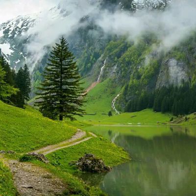 a path leading to a lake in the mountains