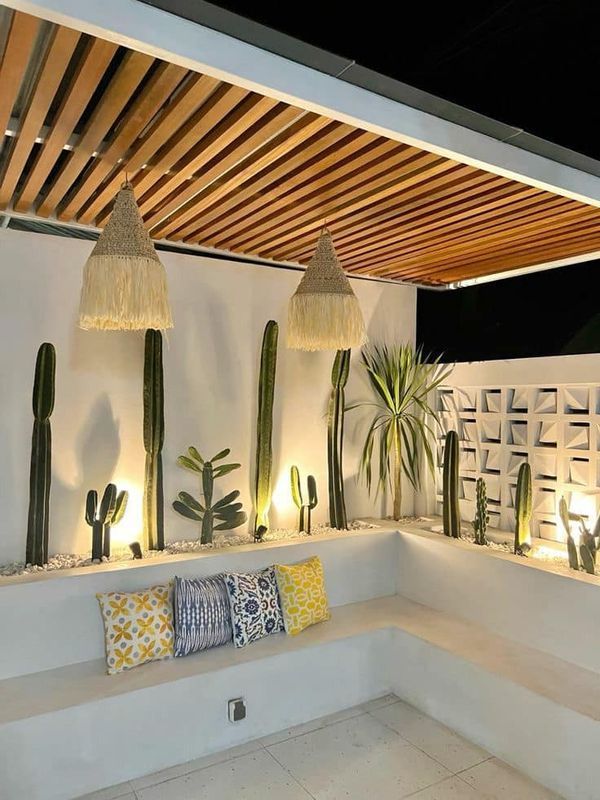 an outdoor seating area with cactus and succulents on the wall, along with lights