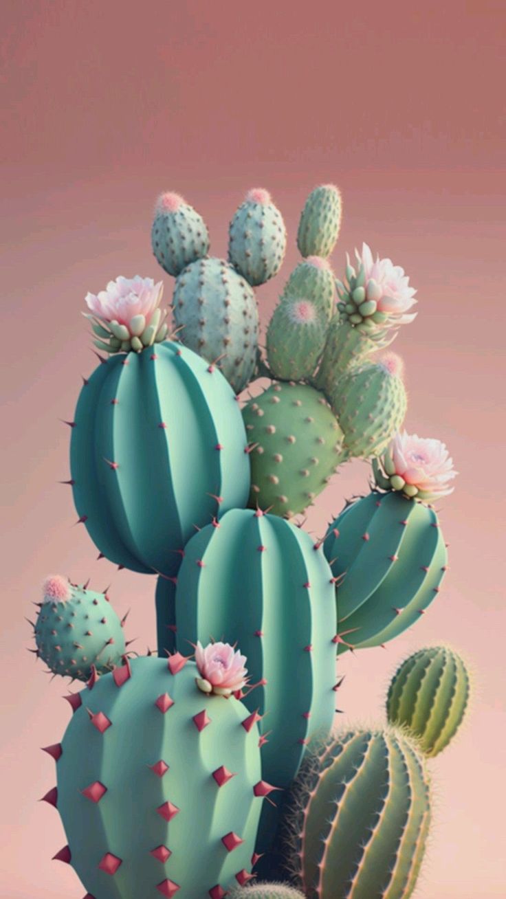 a bunch of green cactuses with pink flowers in the middle and one on top