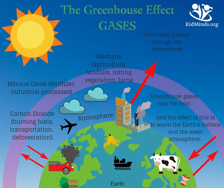 the greenhouse effect is depicted in this diagram, with arrows pointing to different parts of the earth