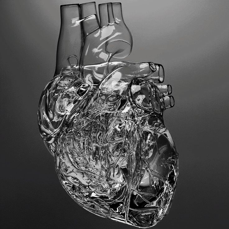 an image of a human heart made out of glass bottles and water in black and white