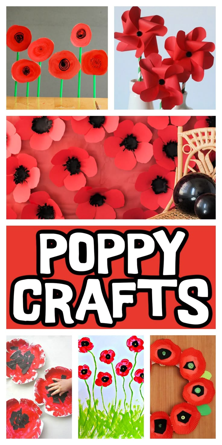 poppy crafts for kids to make with paper flowers and popsicle sticks, such as poppies