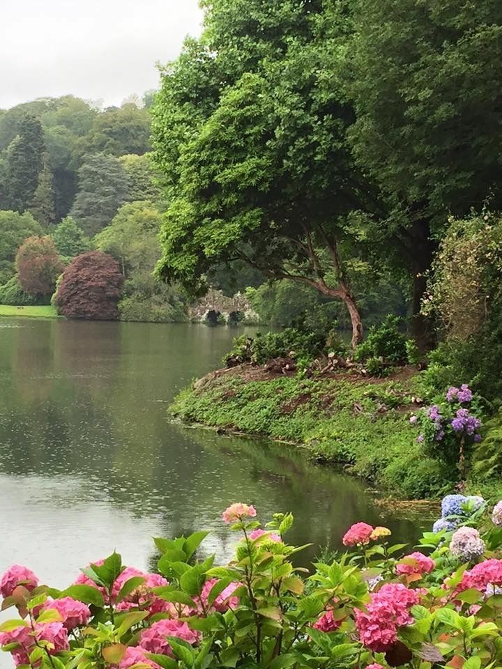 a lake surrounded by lush green trees and pink flowers in the foreground, with lots of greenery on either side