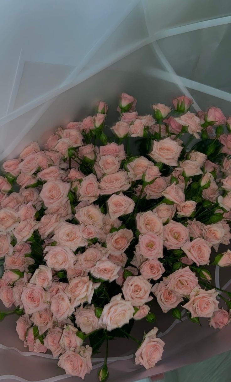 a bouquet of pink roses is shown in this image