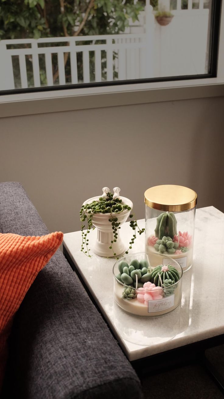 two small plants are sitting on a table next to a couch in front of a window