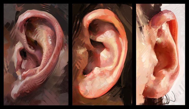 three different images of the same ear