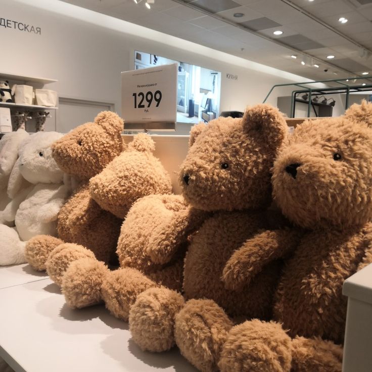 several teddy bears are on display in a store, one is brown and the other is white