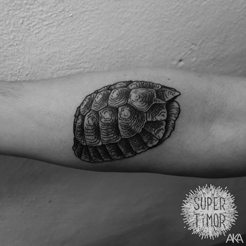 a black and white photo of a shell on the arm