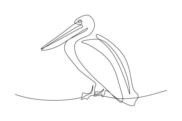 a single line drawing of a pelican sitting on the edge of a body of water