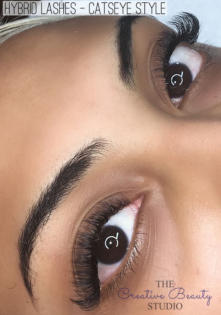 Volume Lashes Cat Eye, Hybrid Lash Extensions Styles Cat Eye, Russian Lash Extensions, Lashes Cat Eye, Short Cat, Hybrid Lashes, Neutral Eye Makeup, Bob Braids Hairstyles, Russian Volume Lashes