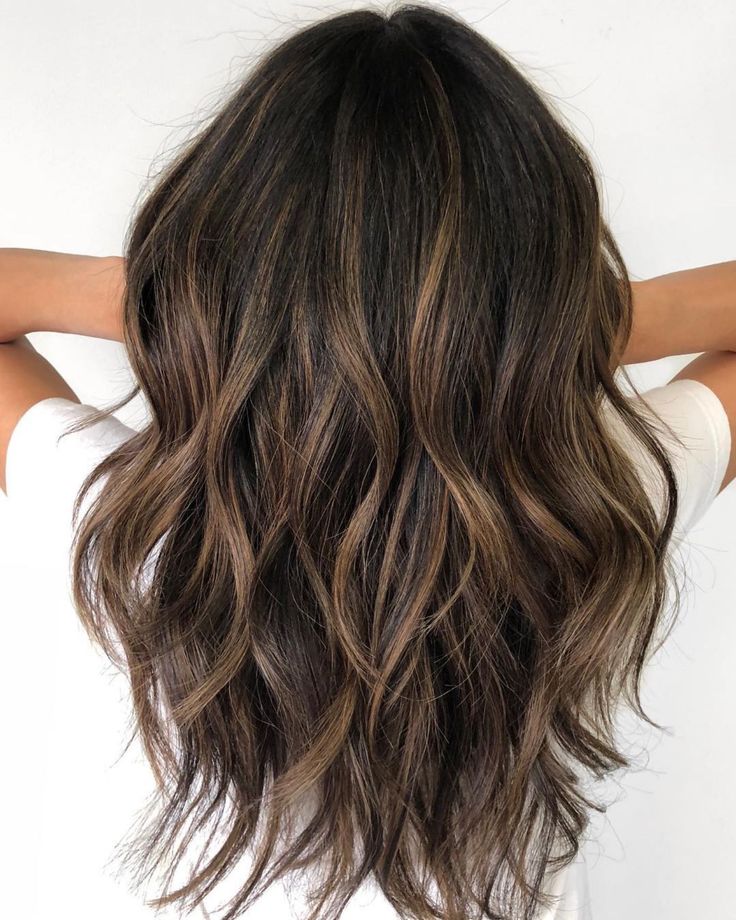 Black Hair with Bronze Highlights Neutral Hair Color Brown, Dark Undertones With Highlights, Brown Fall Hair 2023, Balayage For Dark Brown Hair 2023, Brunette Neutral Highlights, Brunette Hair Neutral, Brown Hair Neutral Highlights, Hand Painted Highlights Brunette, Neutral Brunette Highlights