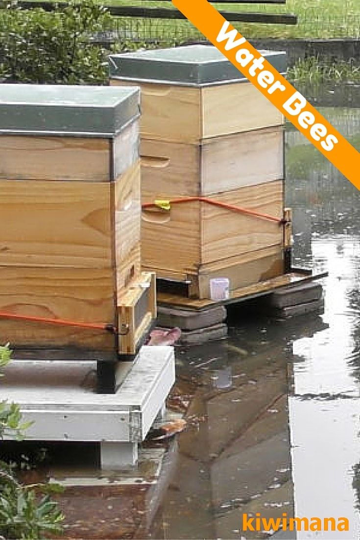 two beehives sitting in the water next to each other