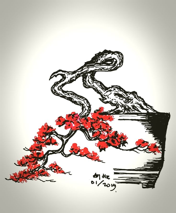 Bonsai Drawing, Skull Stencil, Bonsai Art, Asian Art, Sketch, Drawings, Plants, Quick Saves, Art