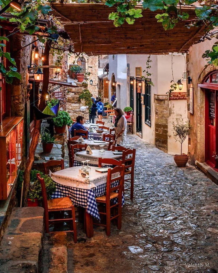 an alleyway with tables and chairs lined up along the side walk, surrounded by greenery