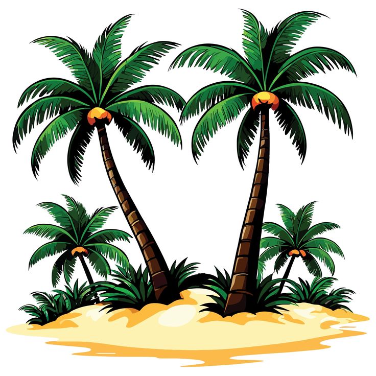 three palm trees in the sand on a white background