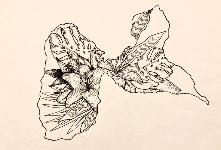 a drawing of a flower on a white background