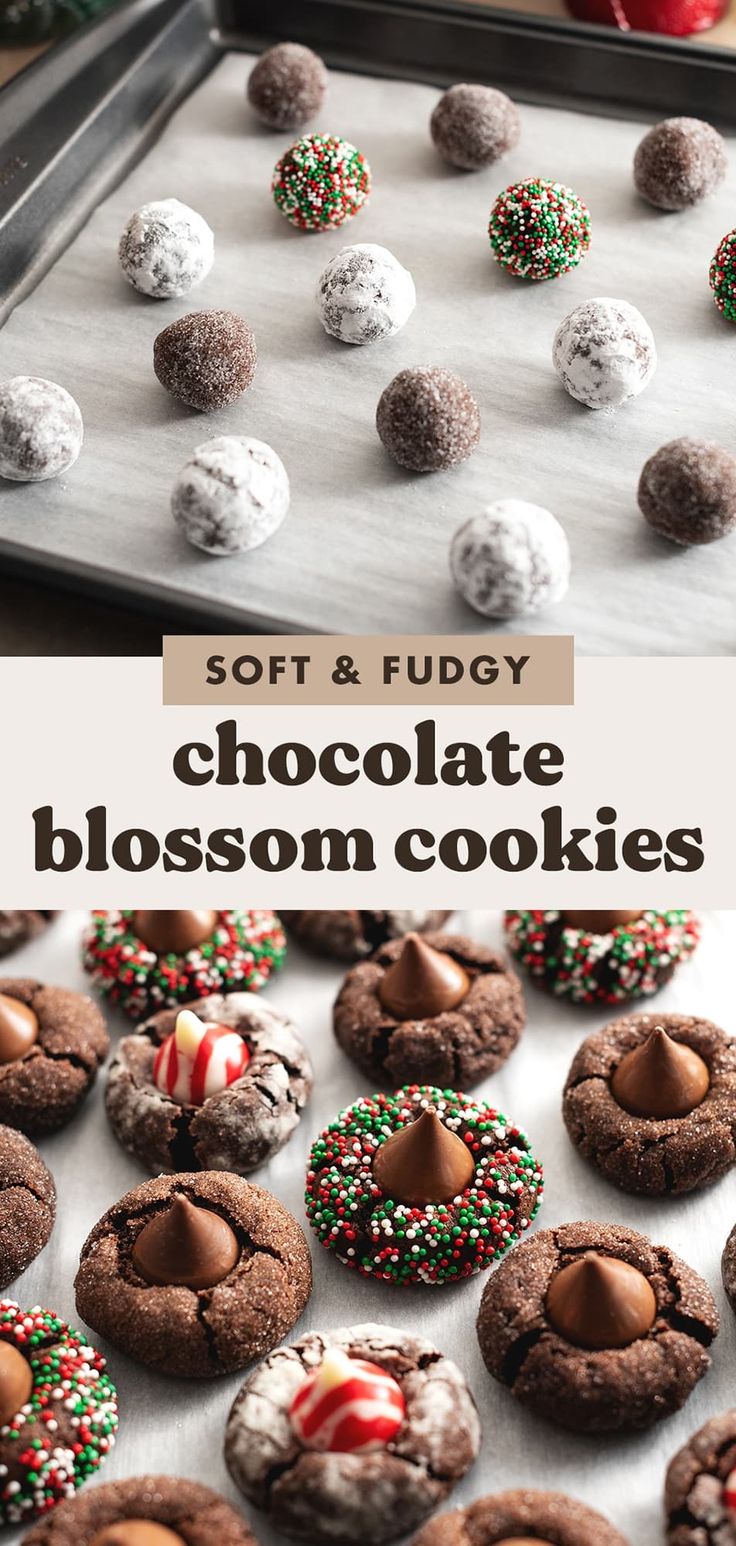 soft and fudge chocolate blossom cookies on a baking sheet