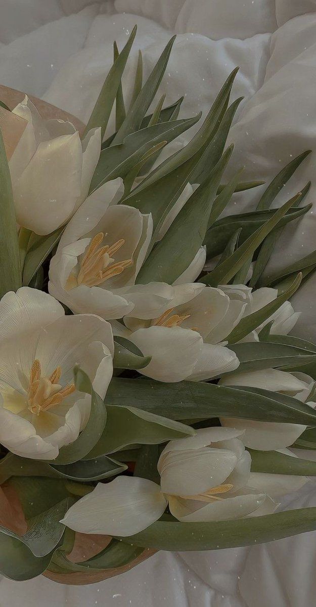 a bouquet of white tulips sitting on top of a cloth covered tablecloth