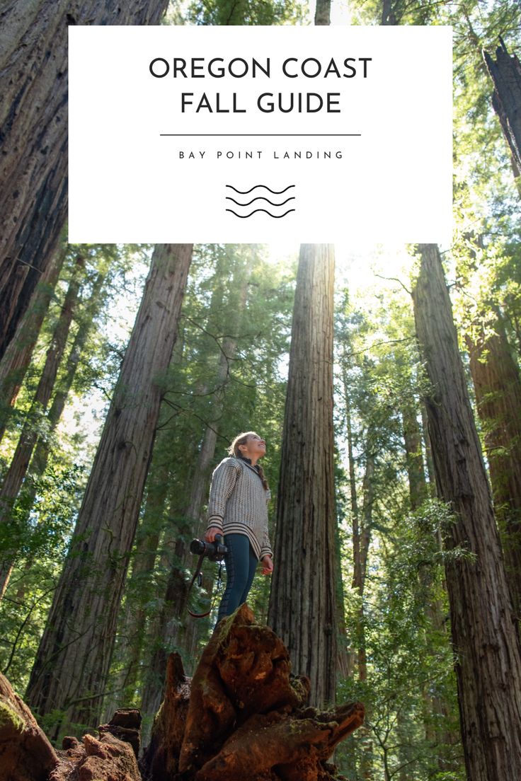 a woman standing on top of a tree stump in the forest with text overlay reading oregon coast fall guide bay point landing