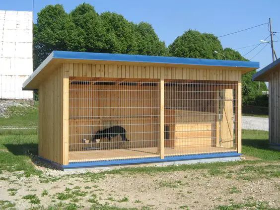 a dog in a kennel on the grass