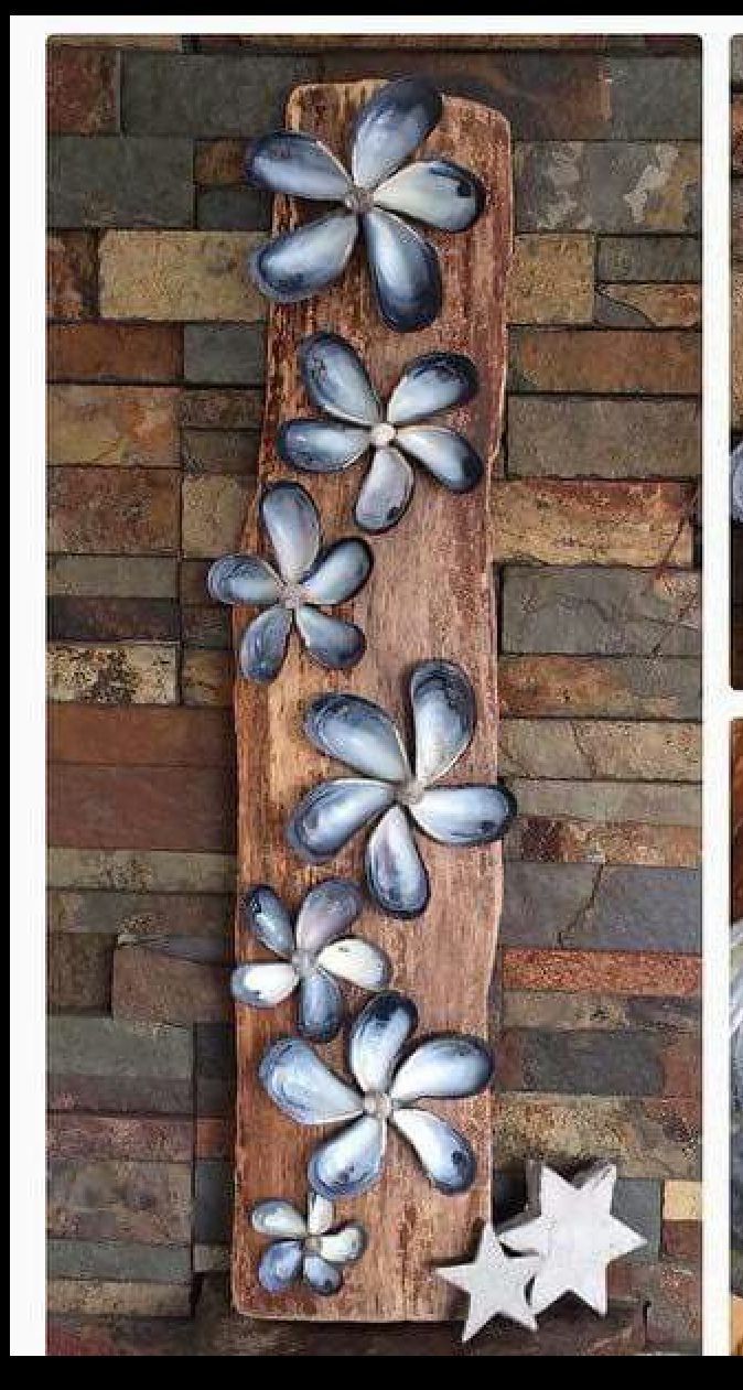 two pictures of flowers made out of seashells on a wooden board with stars