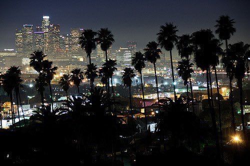 the city lights shine brightly over palm trees in this nighttime scene, as seen from los angeles