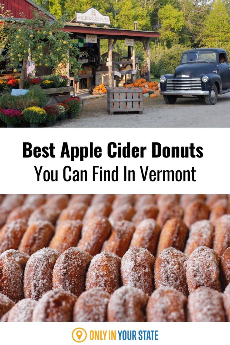 the best apple cider donuts you can find in vermont