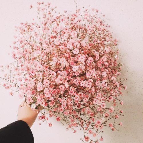 a person holding a bunch of pink flowers in their hand and touching it with the other hand