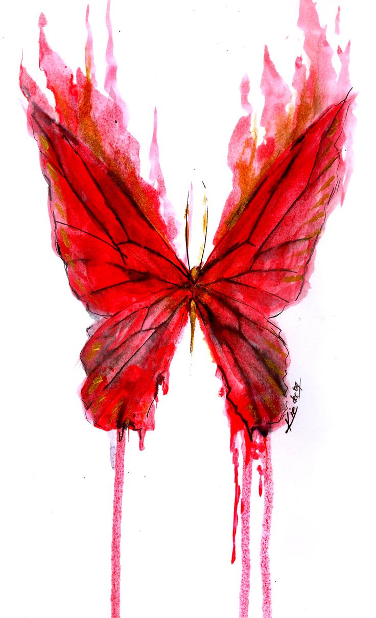 a watercolor painting of a red butterfly with blood dripping from it's wings