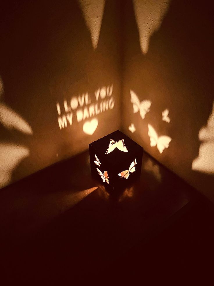 shadows cast on the wall and floor in front of a light box with butterflies projected on it