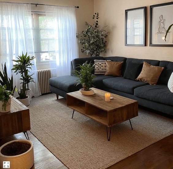 a living room filled with furniture and potted plants in front of a window on top of a rug