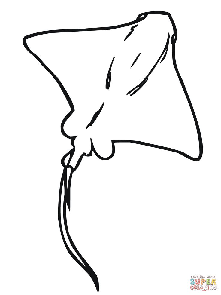 a black and white drawing of a manta ray