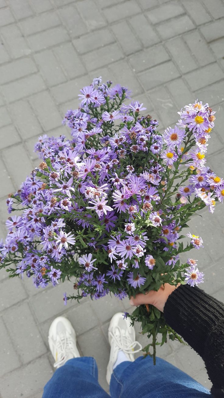 a person holding a bunch of purple flowers