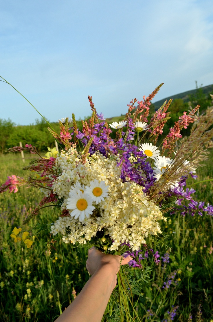 a hand holding a bouquet of wild flowers in a field with blue sky and clouds