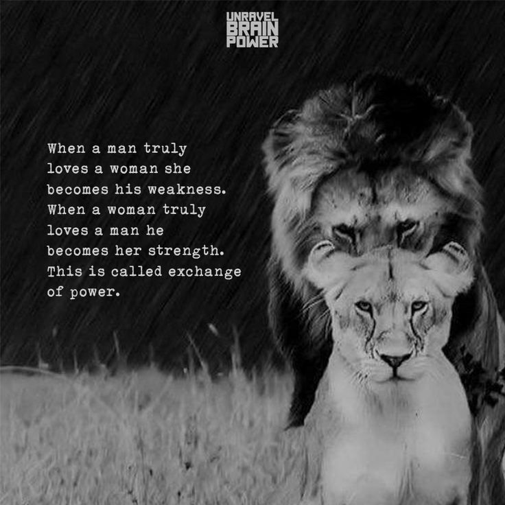 two lions walking in the rain with a quote about love and strength on it's face