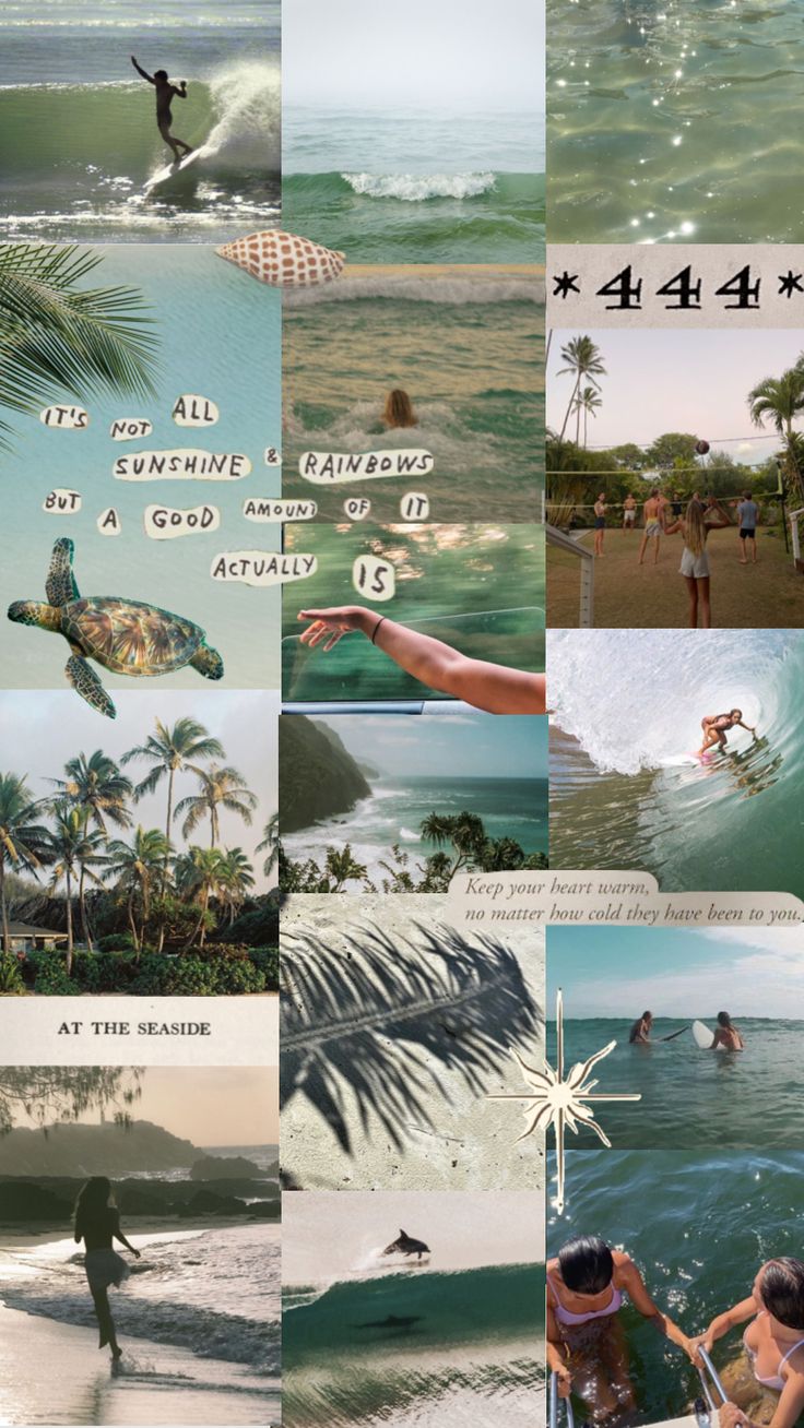 the collage shows people surfing, swimming and playing in the water with palm trees