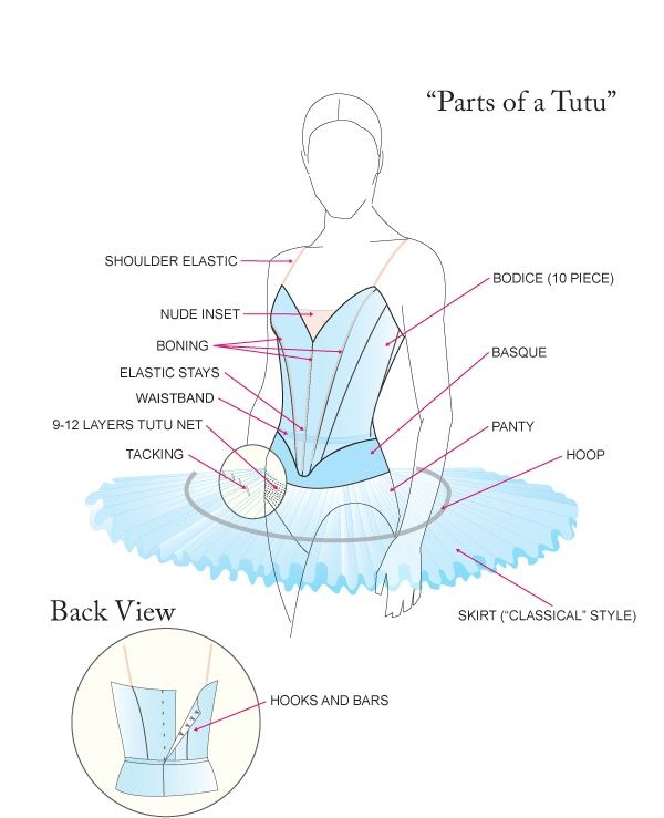 an image of a ballerina's body and the parts labeled in this diagram