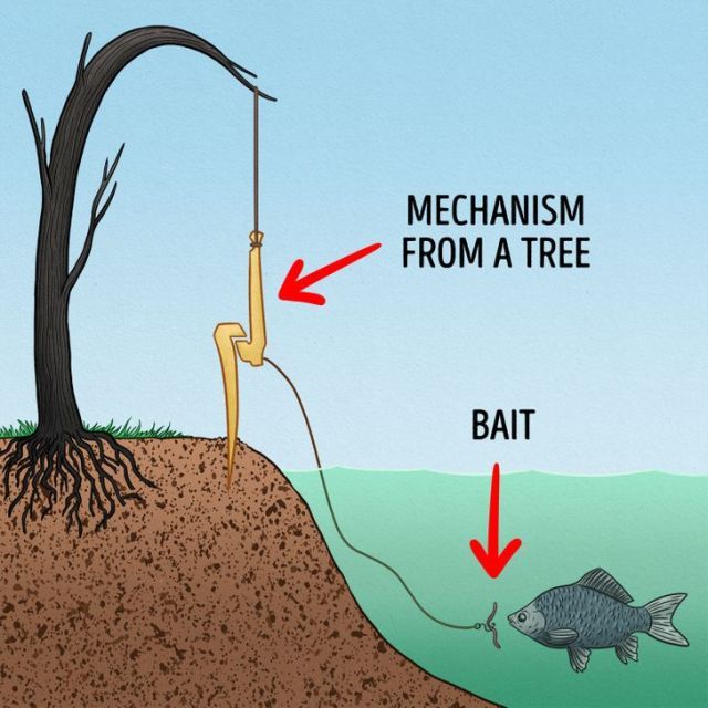 an image of a tree that has been cut down and is connected to a pole