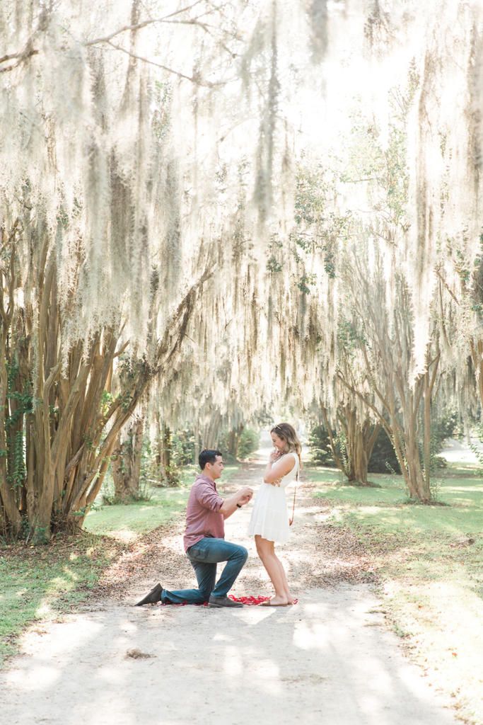 a man kneeling down next to a woman in front of a tree with spanish moss