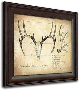 a deer's skull and antlers are depicted in this framed art print on canvas