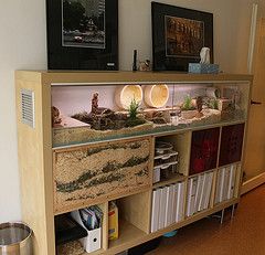 a fish tank filled with lots of different types of plants and rocks on top of a shelf