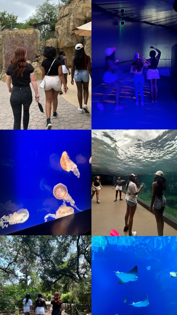 people are walking around in an aquarium looking at jellyfish