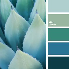 the color palette is blue and green, with an image of a plant in it