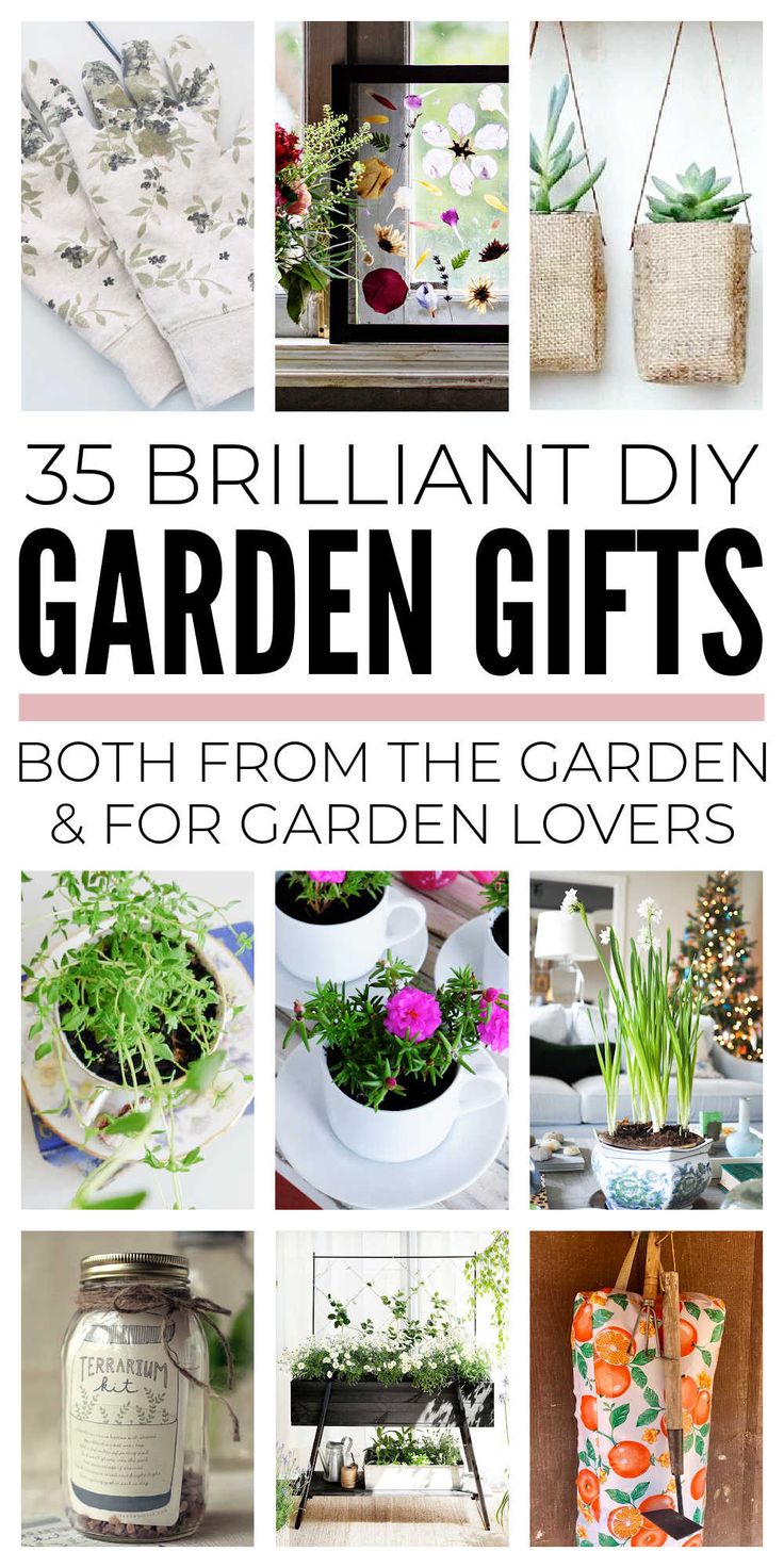 DIY garden gifts are a brilliant way to solve two problemsFirstlywhat to get someone who likes gardening and especially what to get the gardener who has everythingBut secondlyhow to make free Gardening Gift Basket Diy, Diy Garden Gifts, Garden Gift Ideas, Gardening Gift Baskets, Diy Christmas Gifts Cheap, Flower Bookmark, Garden Christmas, Garden Gift, Cadeau Diy